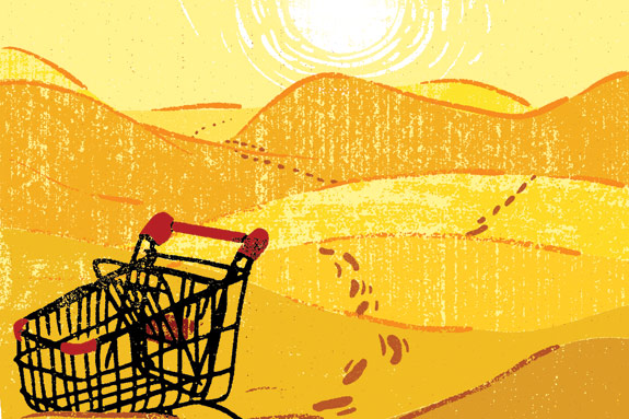 Shedding Light on Food Deserts in America Shedding Light on Food Deserts in America